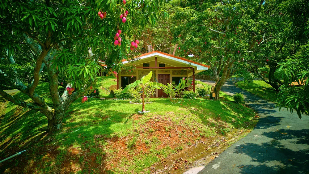 Cabañas
